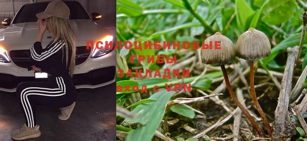 таблы Гусь-Хрустальный