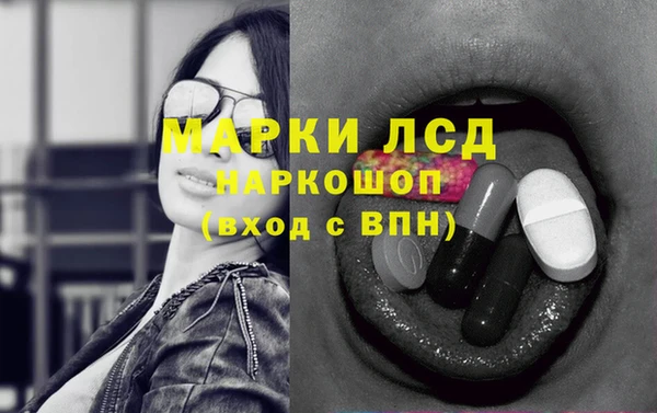 индика Елизово