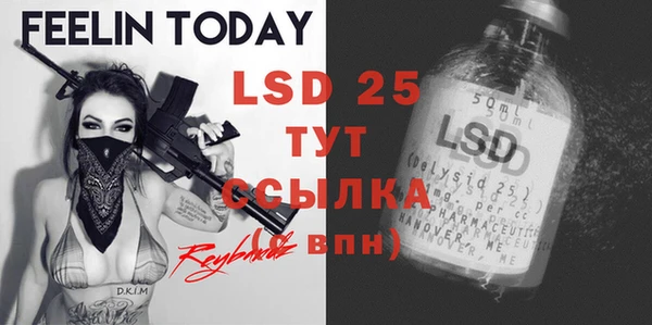 индика Елизово